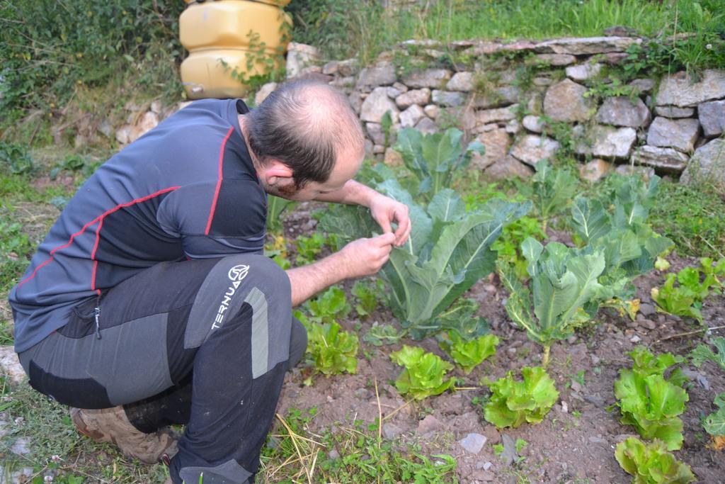 Hostal La Muntanya Castellar De N'Hug Exteriör bild
